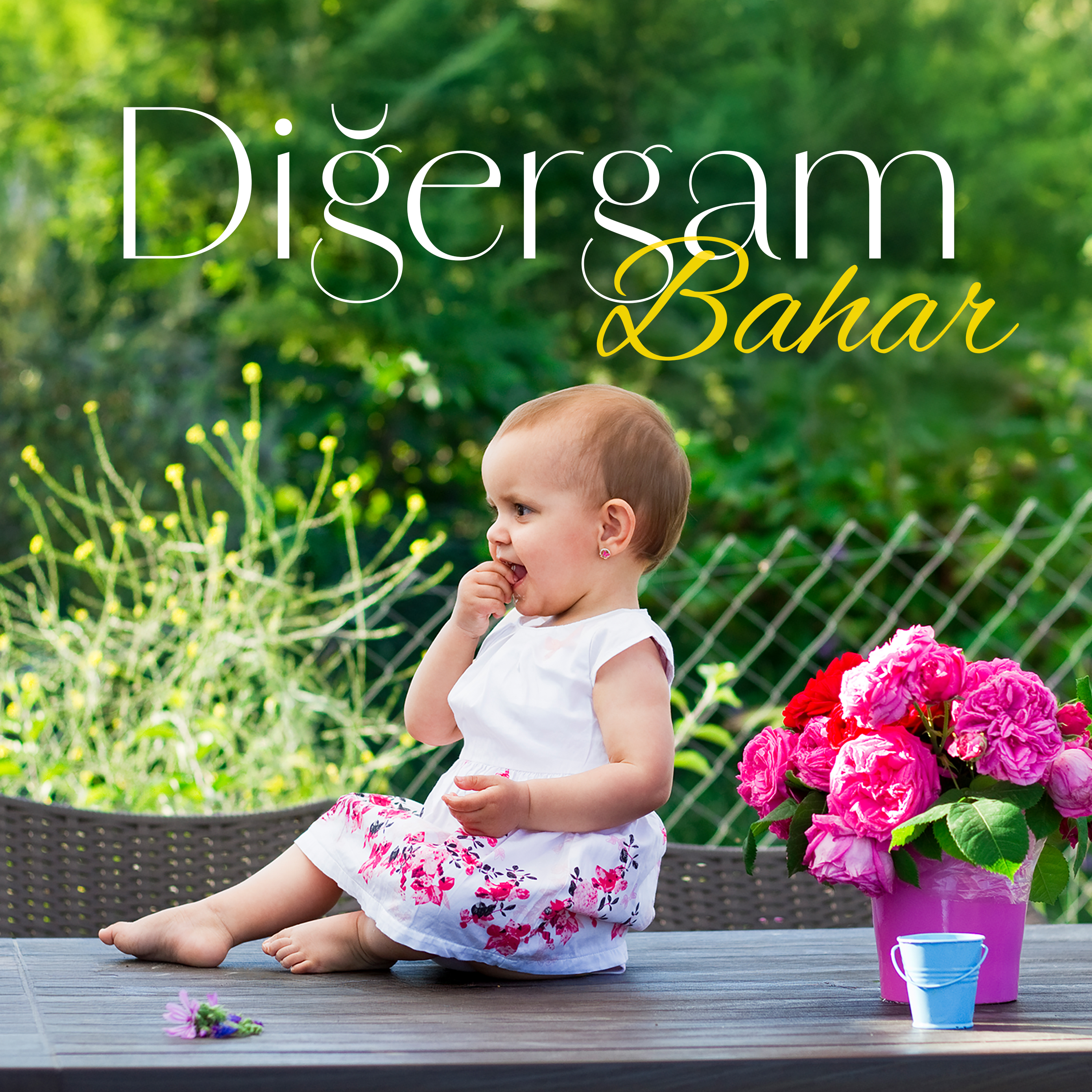 Bahar - Diğergam Albüm Kapağı